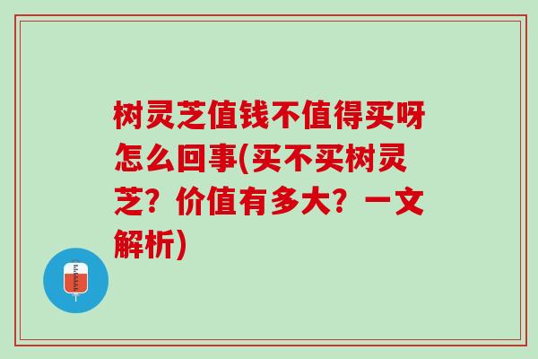 树灵芝值钱不值得买呀怎么回事(买不买树灵芝？价值有多大？一文解析)