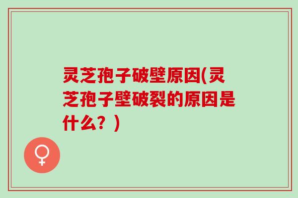 灵芝孢子破壁原因(灵芝孢子壁破裂的原因是什么？)
