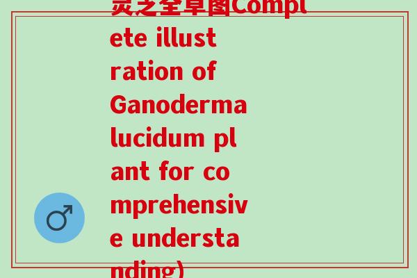 灵芝全草图Complete illustration of Ganoderma lucidum plant for comprehensive understanding)