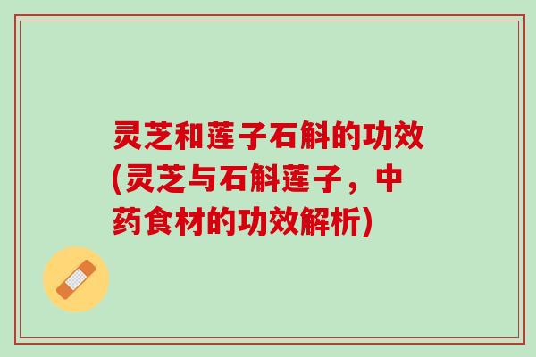 灵芝和莲子石斛的功效(灵芝与石斛莲子，食材的功效解析)