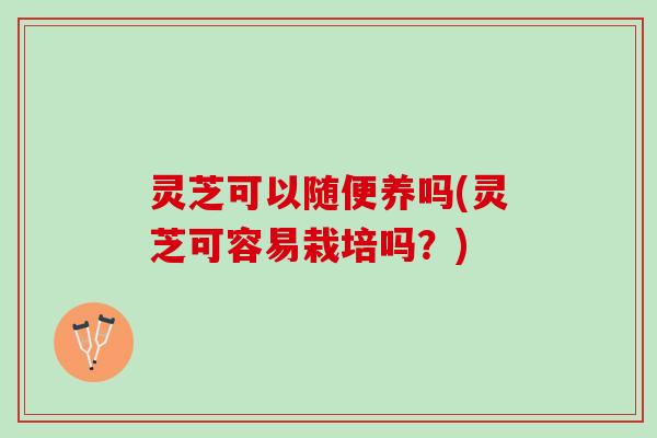 灵芝可以随便养吗(灵芝可容易栽培吗？)