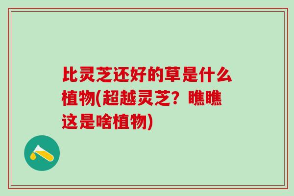 比灵芝还好的草是什么植物(超越灵芝？瞧瞧这是啥植物)