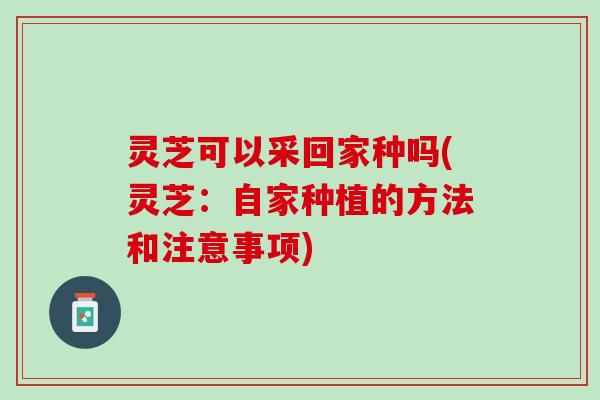 灵芝可以采回家种吗(灵芝：自家种植的方法和注意事项)