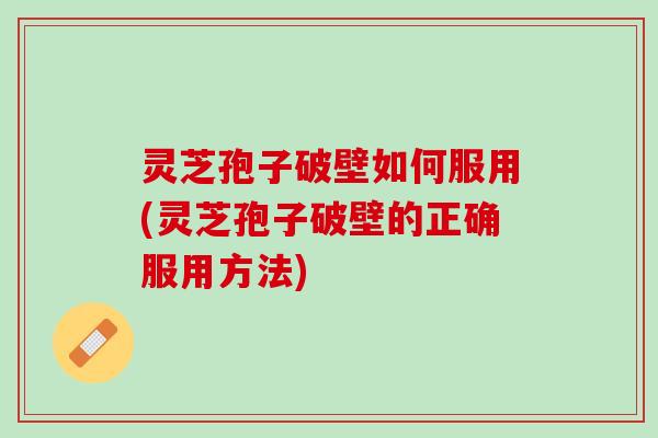 灵芝孢子破壁如何服用(灵芝孢子破壁的正确服用方法)