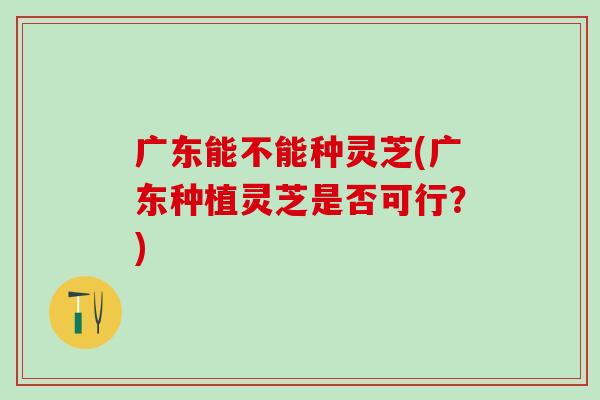 广东能不能种灵芝(广东种植灵芝是否可行？)