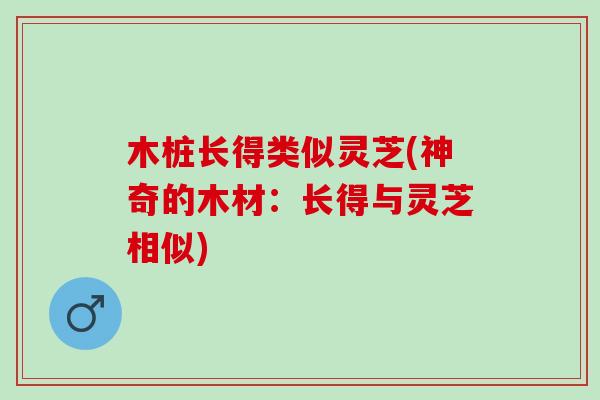 木桩长得类似灵芝(神奇的木材：长得与灵芝相似)