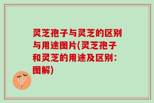 灵芝孢子与灵芝的区别与用途图片(灵芝孢子和灵芝的用途及区别：图解)