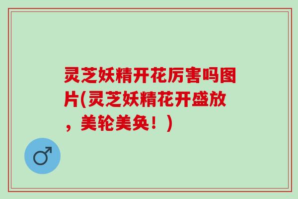 灵芝妖精开花厉害吗图片(灵芝妖精花开盛放，美轮美奂！)