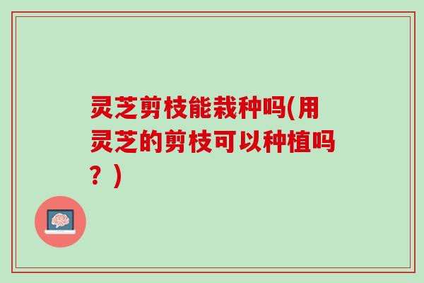 灵芝剪枝能栽种吗(用灵芝的剪枝可以种植吗？)