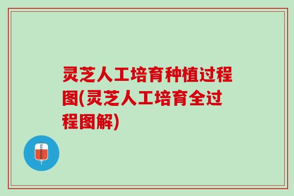 灵芝人工培育种植过程图(灵芝人工培育全过程图解)
