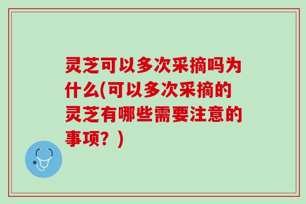 灵芝可以多次采摘吗为什么(可以多次采摘的灵芝有哪些需要注意的事项？)