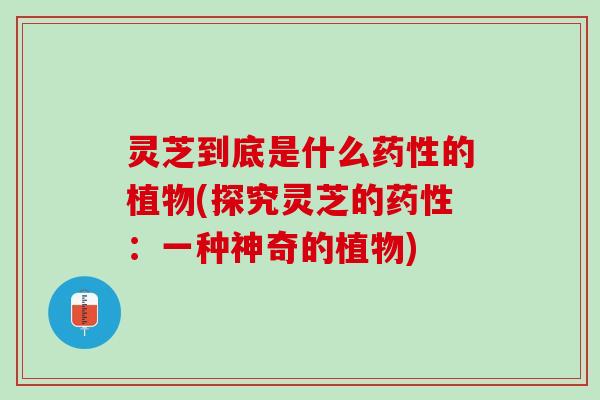 灵芝到底是什么药性的植物(探究灵芝的药性：一种神奇的植物)