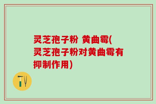 灵芝孢子粉 黄曲霉(灵芝孢子粉对黄曲霉有抑制作用)