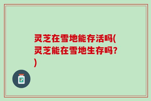 灵芝在雪地能存活吗(灵芝能在雪地生存吗？)