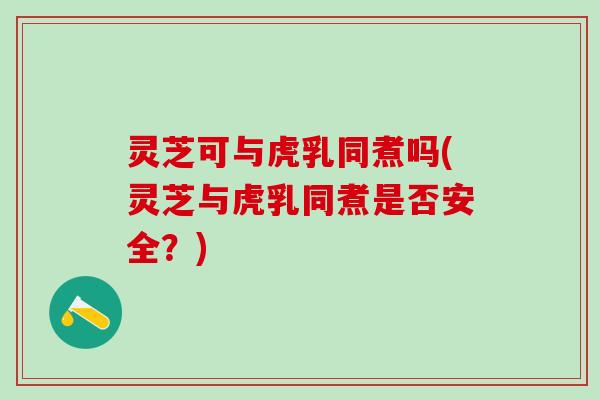 灵芝可与虎乳同煮吗(灵芝与虎乳同煮是否安全？)