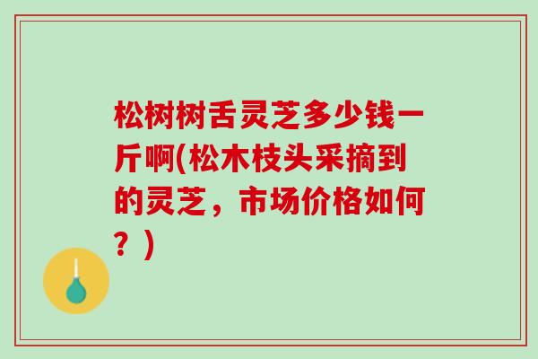 松树树舌灵芝多少钱一斤啊(松木枝头采摘到的灵芝，市场价格如何？)