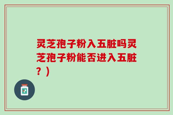 灵芝孢子粉入五脏吗灵芝孢子粉能否进入五脏？)