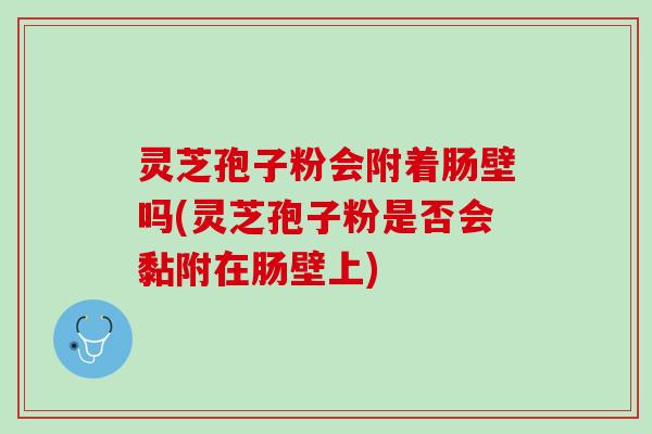 灵芝孢子粉会附着肠壁吗(灵芝孢子粉是否会黏附在肠壁上)
