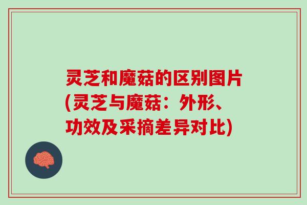 灵芝和魔菇的区别图片(灵芝与魔菇:外形、功效及采摘差异对比) 灵芝和魔菇的区别图片(灵芝与魔菇:外形、功效及采摘差异对比)