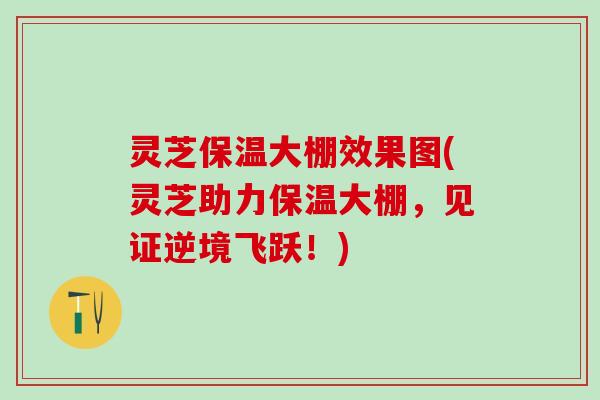 灵芝保温大棚效果图(灵芝助力保温大棚，见证逆境飞跃！)