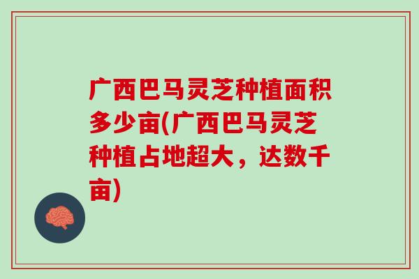 广西巴马灵芝种植面积多少亩(广西巴马灵芝种植占地超大,达数千亩) 广西巴马灵芝种植面积多少亩(广西巴马灵芝种植占地超大,达数千亩)
