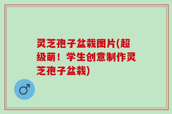 灵芝孢子盆栽图片(超级萌！学生创意制作灵芝孢子盆栽)