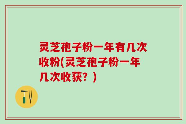 灵芝孢子粉一年有几次收粉(灵芝孢子粉一年几次收获？)