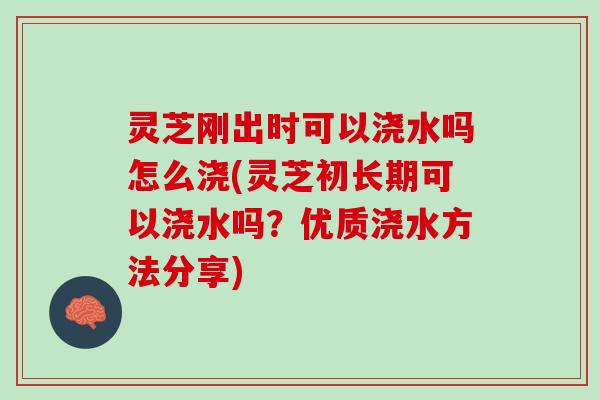 灵芝刚出时可以浇水吗怎么浇(灵芝初长期可以浇水吗?优质浇水方法分享) 灵芝刚出时可以浇水吗怎么浇(灵芝初长期可以浇水吗?优质浇水方法分享)