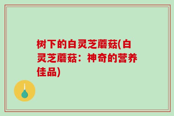 树下的白灵芝蘑菇(白灵芝蘑菇：神奇的营养佳品)