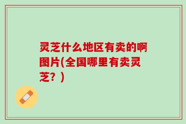 灵芝什么地区有卖的啊图片(全国哪里有卖灵芝？)
