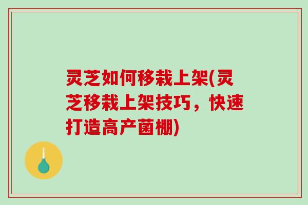 灵芝如何移栽上架(灵芝移栽上架技巧，快速打造高产菌棚)
