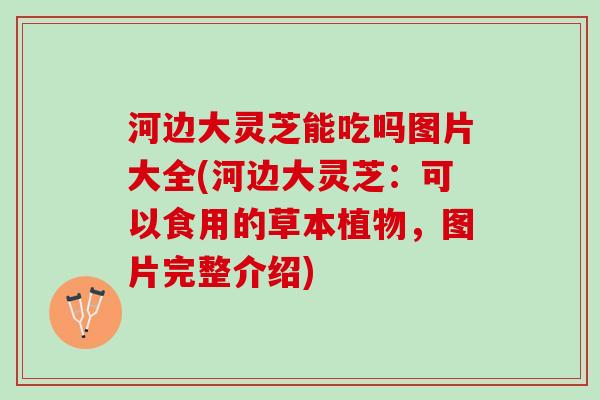 河边大灵芝能吃吗图片大全(河边大灵芝：可以食用的草本植物，图片完整介绍)