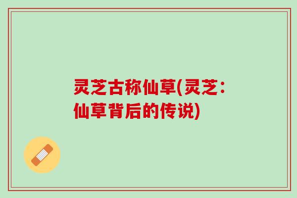 灵芝古称仙草(灵芝：仙草背后的传说)