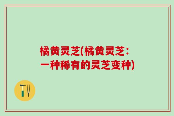 橘黄灵芝(橘黄灵芝：一种稀有的灵芝变种)