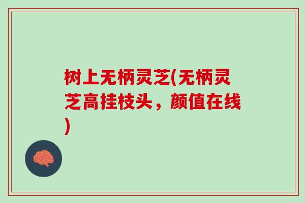 树上无柄灵芝(无柄灵芝高挂枝头，颜值在线)