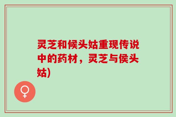 灵芝和候头姑重现传说中的药材，灵芝与侯头姑)
