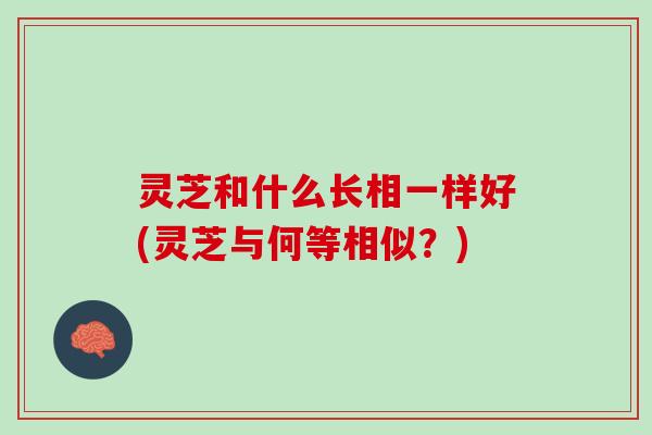 灵芝和什么长相一样好(灵芝与何等相似?) 灵芝和什么长相一样好(灵芝与何等相似?)