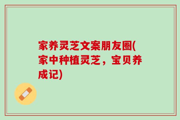 家养灵芝文案朋友圈(家中种植灵芝，宝贝养成记)