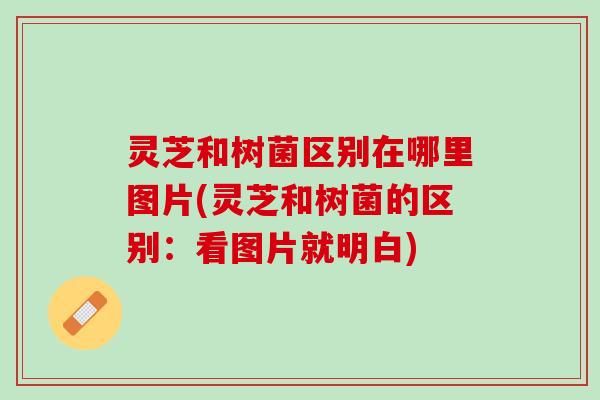 灵芝和树菌区别在哪里图片(灵芝和树菌的区别:看图片就明白) 灵芝和树菌区别在哪里图片(灵芝和树菌的区别:看图片就明白)
