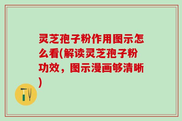 灵芝孢子粉作用图示怎么看(解读灵芝孢子粉功效，图示漫画够清晰)