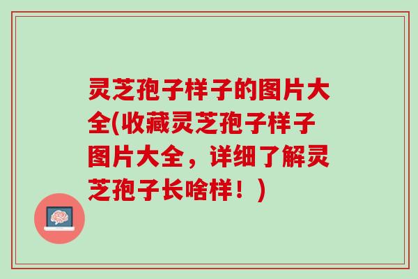 灵芝孢子样子的图片大全(收藏灵芝孢子样子图片大全，详细了解灵芝孢子长啥样！)