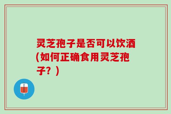 灵芝孢子是否可以饮酒(如何正确食用灵芝孢子？)