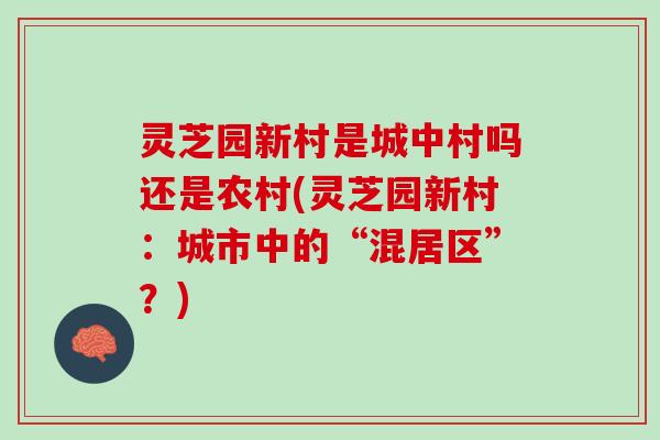灵芝园新村是城中村吗还是农村(灵芝园新村：城市中的“混居区”？)