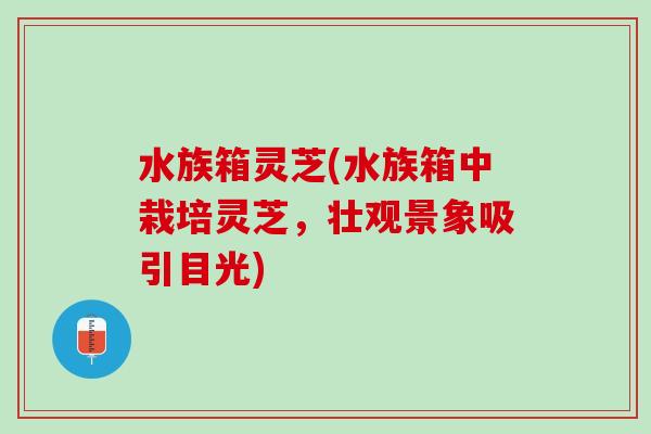 水族箱灵芝(水族箱中栽培灵芝，壮观景象吸引目光)