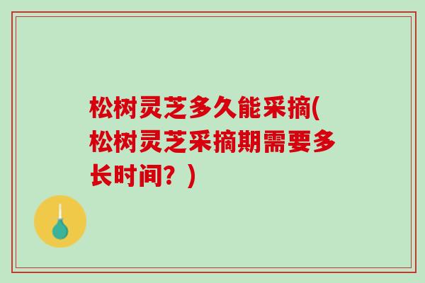 松树灵芝多久能采摘(松树灵芝采摘期需要多长时间？)