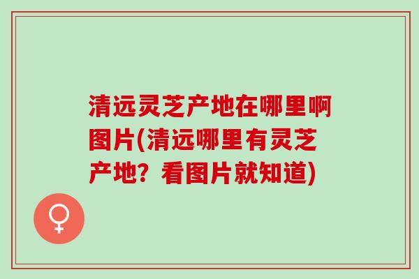清远灵芝产地在哪里啊图片(清远哪里有灵芝产地？看图片就知道)