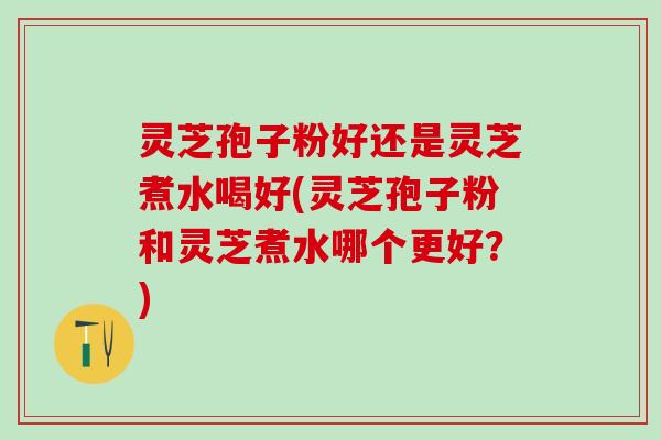灵芝孢子粉好还是灵芝煮水喝好(灵芝孢子粉和灵芝煮水哪个更好？)