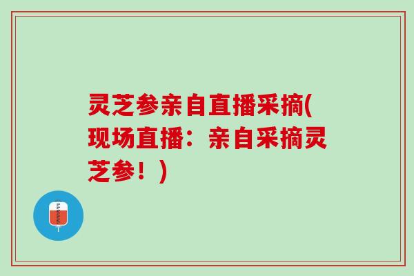 灵芝参亲自直播采摘(现场直播：亲自采摘灵芝参！)