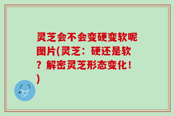 灵芝会不会变硬变软呢图片(灵芝:硬还是软?解密灵芝形态变化!) 灵芝会不会变硬变软呢图片(灵芝:硬还是软?解密灵芝形态变化!)