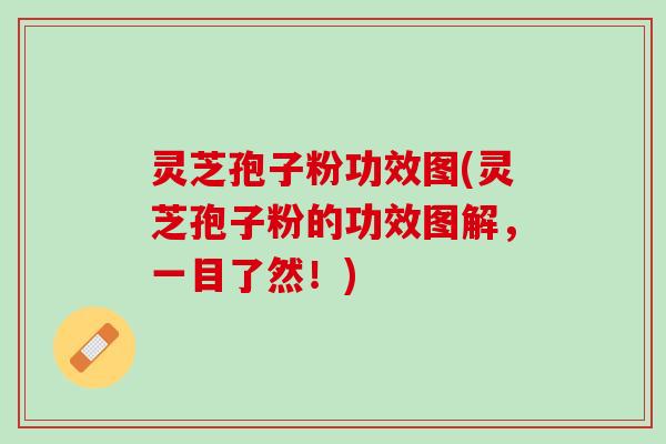 灵芝孢子粉功效图(灵芝孢子粉的功效图解，一目了然！)